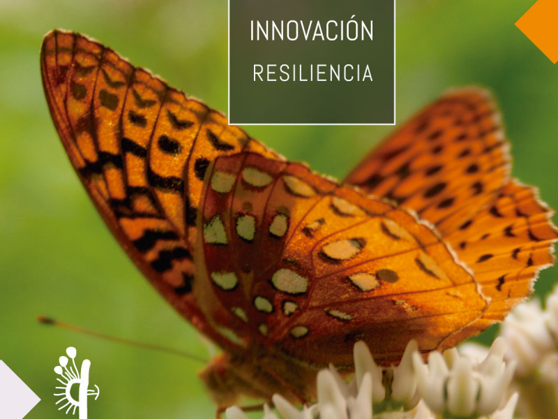 Workshops y Entrenamientos  - Resiliencia e Innovación
